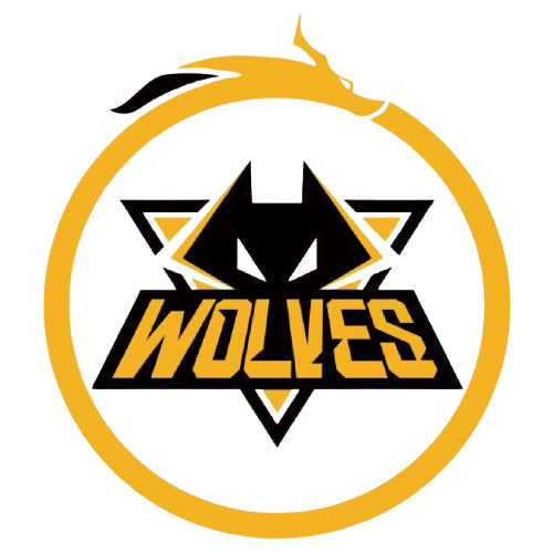 转会的极端 转会的极端