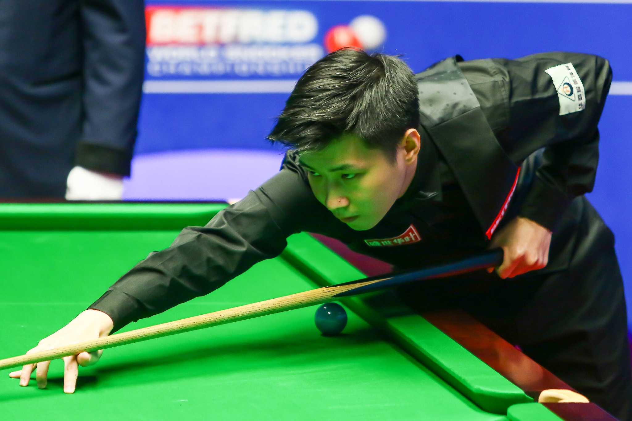 强势资金投 强势资金投