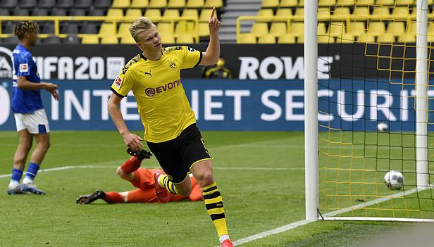 种子收益 种子收益